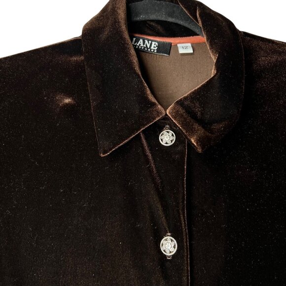 Vtg Misty Lane Brown Velvet Maxi Dress Goth Buttons Long Sleeves Sz 12 Darts USA - Picture 5 of 15